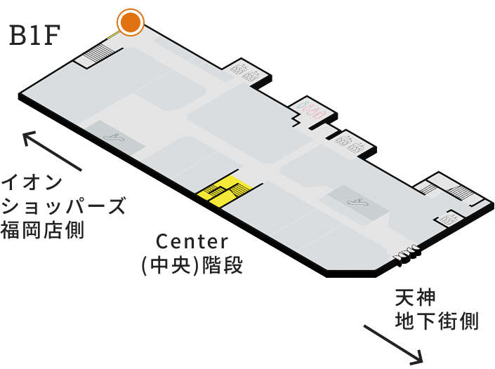 展示場所